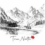 True North Yoga and Fitness